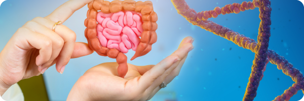 A woman's hands holding a computer-generated image of human intestines with a computer-generated DNA ladder in the background to represent the fact that genetics can affect the gut microbiome. 