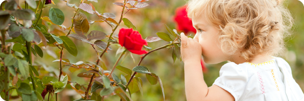A child smelling red roses in a garden, representing the concept of pause and enjoy your food before eating for healthy digestion.