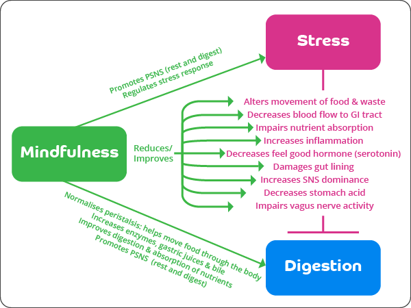 An infographic explaining the stress-digestion-mindfulness triad. 