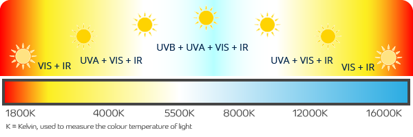 A graphic that shows what natural light is by showing different sun icons at different heights in the sky against different coloured backgrounds that correspond to the type of light most abundant at that time of day. The colours start off red as the sun rises, fading to yellow in the early morning, white in the late morning, blue midday, white in the early afternoon, yellow in the late afternoon then red as the sun sets. A scale at the bottom shows the colour temperature throughout the day measured in Kelvin (K). It starts at 1,800K at sunrise, moving to 4,000K mid-morning, 5,550K late morning, 8,000K just after midday, 12,000K in the afternoon and 16,000K at sun set. 