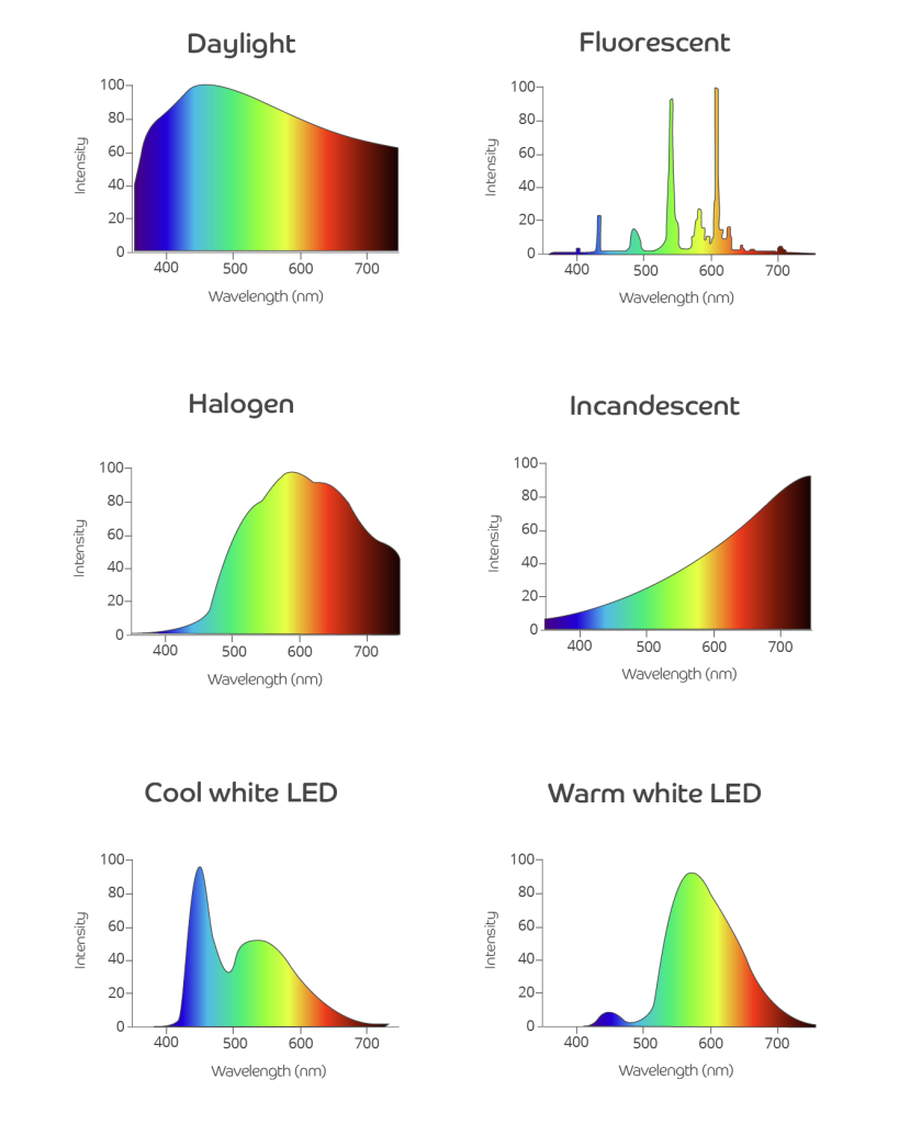 6 line graphs, all with the vertical 'y' axis labelled 'Intensity' and the horizontal 'x' axis labelled 'Wavelength (nm)'. The first line graph shows those metrics for different colours of daylight. The 2nd line graph shows those metrics for different colours of fluorescent light. The third line graph shows those metrics for different colours of halogen light. The fourth line graph shows those metrics for different colours of incandescent light. The fifth line graph shows those metrics for different colours of cool white LED light and the sixth line graph shows those metrics for different colours of warm white LED lights.