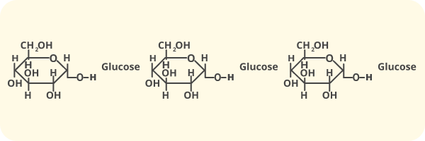 Diagram on a pale yellow background of starches snipped up during digestion into single glucose molecules