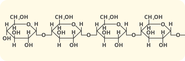 Diagram on a pale yellow background of the structure of starches that are digested to sugars