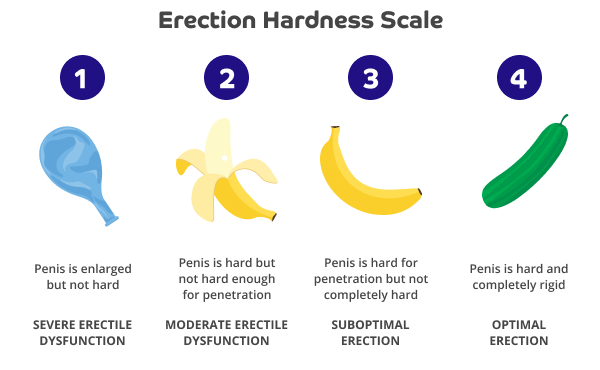 Dark grey text at the top says: 'Erection Hardness Scale'. Beneath are white numbers 1, 2, ,3 ,4 in dark blue circles. Under number 1 is an illustration of a deflated blue balloon.  Beneath is black text: 'Penis is enlarged but not heard' and below in capitals is: 'Severe Erectile Dysfunction'. Beneath number 2 is an illustration of a peeled banana. Beneath is black text: 'Penis is hard but not hard enough for penetration'. Below in capitals is: 'Moderate Erectile Dysfunction'. Under number 3 is an illustration of an unpeeled banana. Beneath, in black text: 'Penis is hard for penetration but not completely hard' Below in capitals: 'Suboptimal Erection'. Under number 4 is an illustration of a cucumber. Beneath black text says: 'Penis is hard and completely rigid' Below in capitals 'Optimal Erection. 