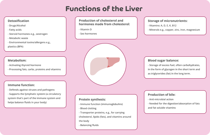 A pale pink infographic with the title Functions of the Liver.

An icon of the liver is in the centre with white text boxes describing the functions surrounding it.

Detoxification: Drugs/alcohol, fatty acids, steroid hormones, oestrogen, metabolic waste, environmental toxins/allergens, e.g. plastics (BPA)

Metabolism: Activating thyroid hormone, processing fats, carbs, proteins, and vitamins

Immune function: Defends against viruses and pathogens, supports the lymphathic system (a circulatory system that's part of the immune system and helps balance fluids in your body).

Production of cholesterol and hormones made from cholesterol: Vitamin D, Sex hormones

Protein synthesis: Immune function (immunoglobulins), Blood clotting, Transporter proteins, e.g. for carrying cholesterol, lipids (fats), and vitamins around the body; balancing fluids. Storage of micronutrients: Vitamins A D E K B12, Minerals e.g. copper, zinc, iron, magnesium. Blood sugar balance: Storage of excess fuel, often carbohydrates, in the form of glycogen in the short term and triglycerides (fat) in the long term. Production of bile: Antimicrobial action, needed for the digestion/absorption of fats and fat soluble vitamins.