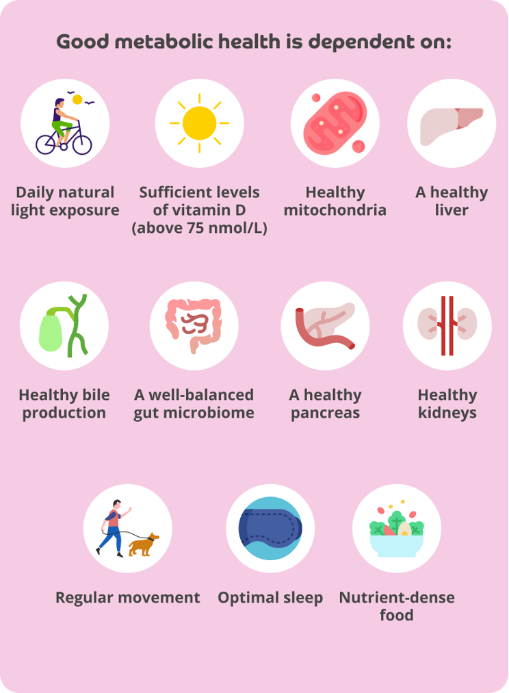 A pink infographic with the title Good metabolic health is dependent on:

Daily natural light exposure, an icon of a person cycling outside.

Sufficient levels of vitamin D (above 75 nmol/L), an icon of the sun.

Healthy mitochondria, an icon of mitochondria. 

A healthy liver, an icon of the liver.

Healthy bile production.

A well-balanced gut microbiome, an icon of intestines.

A healthy pancreas, an icon of the pancreas.

Healthy kidneys, an icon of kidneys

Regular movement, an icon of a person walking with their dog.

Optimal sleep, an icon of a sleep mask.

Nutrient-dense food, an icon of a bowl of vegetables and an egg.