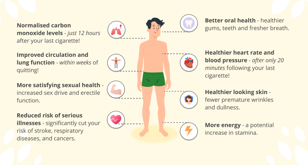 Illustration of a Caucasian man in the centre surrounded by the following points and associated icons: 'Normalised carbon monoxide levels - just 12 hours after your last cigarette!' with an icon of a pair of lungs and an upwards arrow. 'Improved circulation and lung function - within weeks of quitting!' with an icon of a person with their arms stretched out showing their circulation system. 'More satisfying sexual health - increased sex drive and erectile function.' with an icon of a strong flexing bicep. 'Reduced risk of serious illnesses - significantly cut your risk of stroke, respiratory diseases, and cancers.' with an pink heart icon. 'Better oral health - healthier gums, teeth and fresher breath.' with a tooth icon. 'Healthier heart rate and blood pressure - after only 20 minutes following your last cigarette!' with a heart organ icon. 'Healthier looking skin - fewer premature wrinkles and dullness' next to an icon of a woman's face. 'More energy - a potential increase in stamina' next to an lightning bolt icon. 